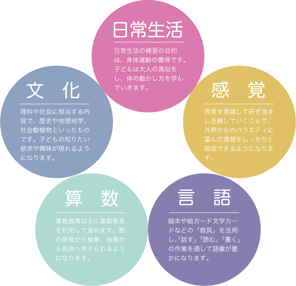 モンテッソーリ教育の5つの分野/日常生活・感覚・言語・算数・文化